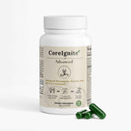Premium Thermogenic Supplement Stack with MCTs