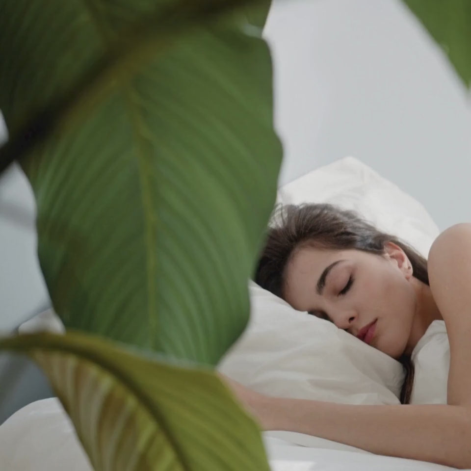 AshwaCalm+ Organic Ashwagandha Supplement